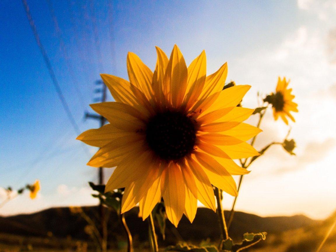 ทดสอบข่าว 1